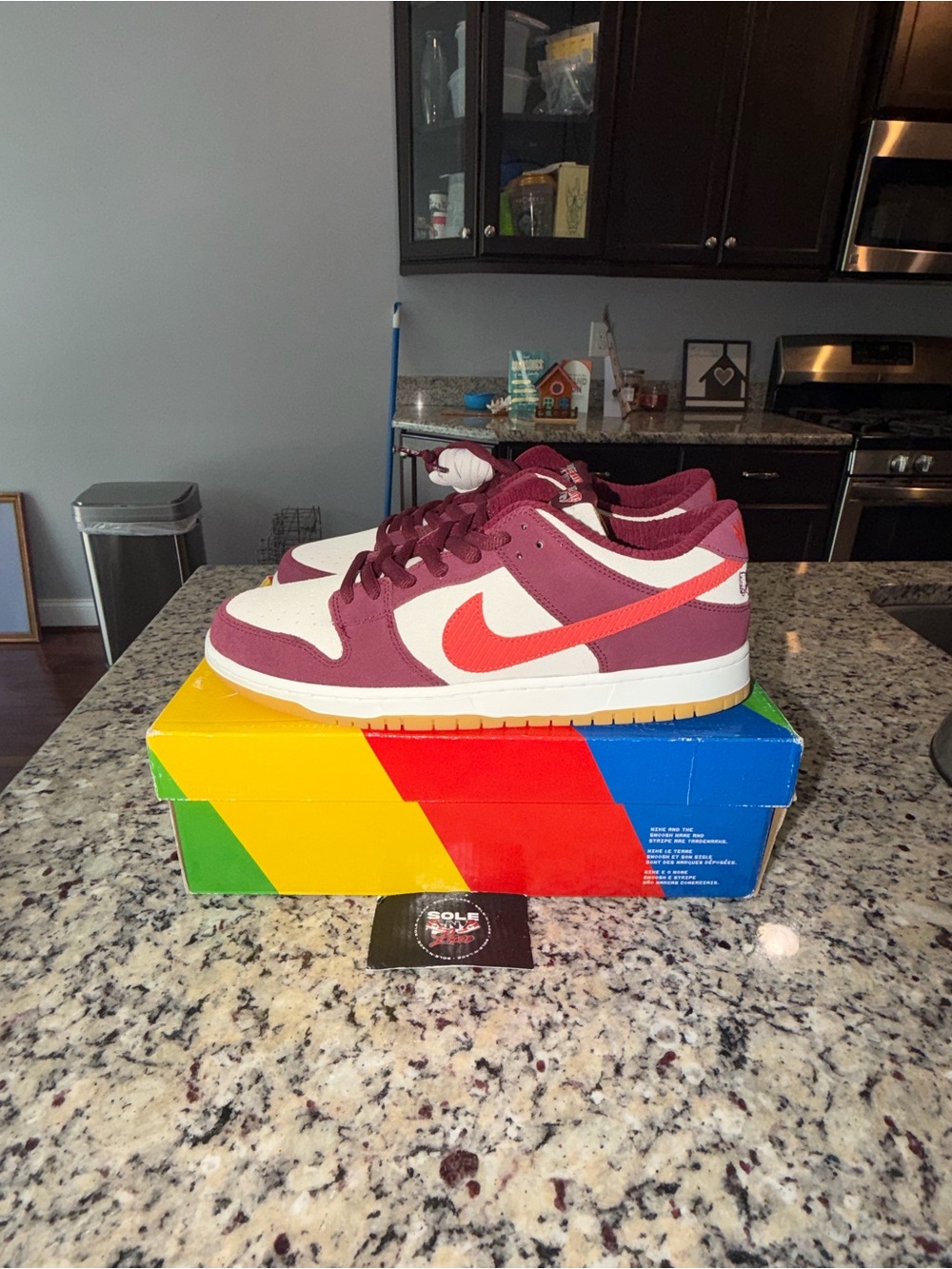 Size 11.5 Nike SB Dunk Low Skate Like A Girl SKU DX4589-600 Brand New